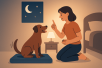 Dog training guide image for Understanding and Addressing Night Time Whining in Dogs
